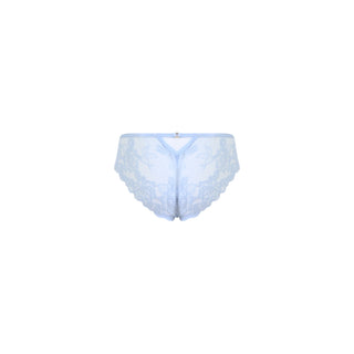 ALBA BRIEF Skyway