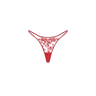 A pair of Shikkosa women's lingerie lace thong in lipstick red AW26 color, featuring a floral lace pattern on the front and sides with a solid red waistband and leg openings, displayed on a clean white background.
