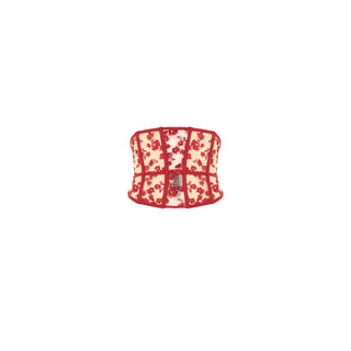 Lipstick red lingerie waspie on a white background