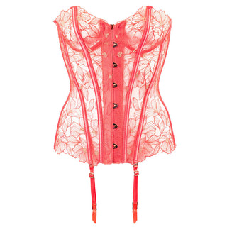 Papaya lace lingerie corset on a white background
